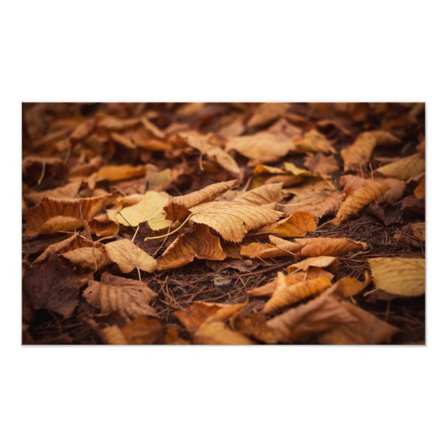 Impression Photo Feuilles d'automne (Devant)