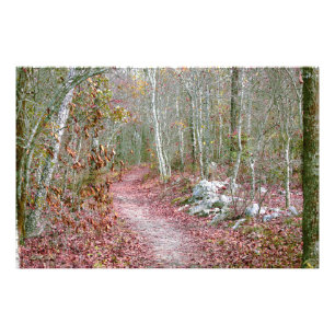 Impression Photo Feuilles d'automne roses Sentier Goat Rock Arkansa