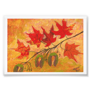 Impression Photo Feuilles d'érable