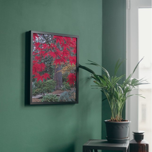 Impression Photo Feuilles d'érable rouge dans un jardin japonais (In Situ)