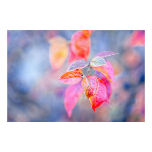 Impression Photo Feuilles impressionnants de Cotonou