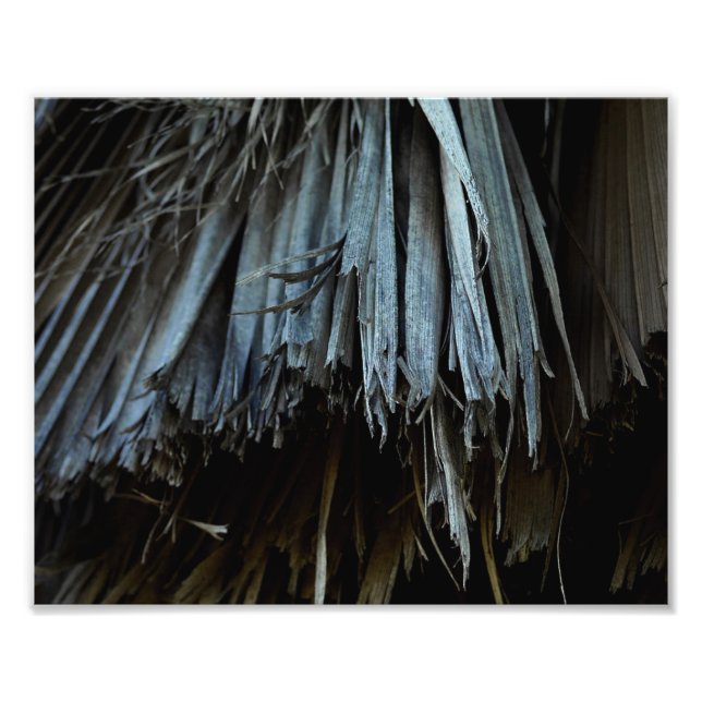 Impression Photo Feuilles Palm Tree (Devant)