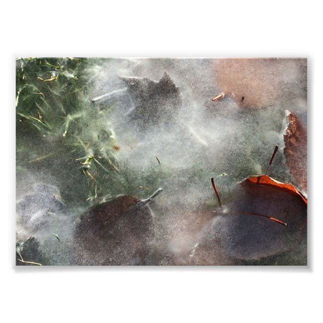 Impression Photo feuilles sous la glace (Devant)
