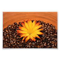 Fèves de café et marguerite jaune