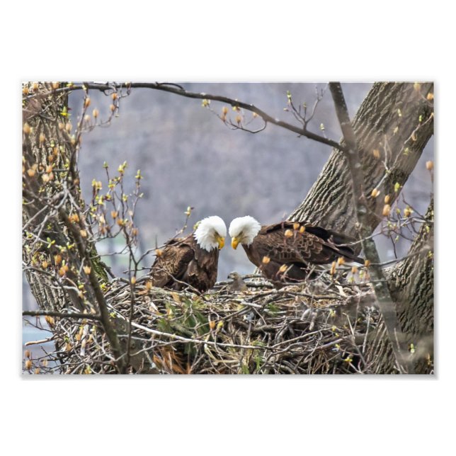 Impression Photo Fiers parents (Devant)
