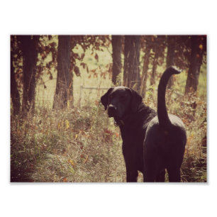Impression Photo Fille de Jetta