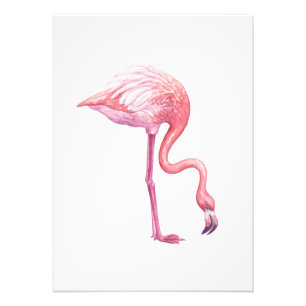 Impression Photo Flamant rose