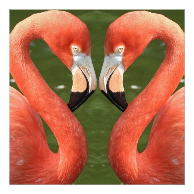 Impression Photo Flamant rose_20170701_by_JAMFoto (Devant)