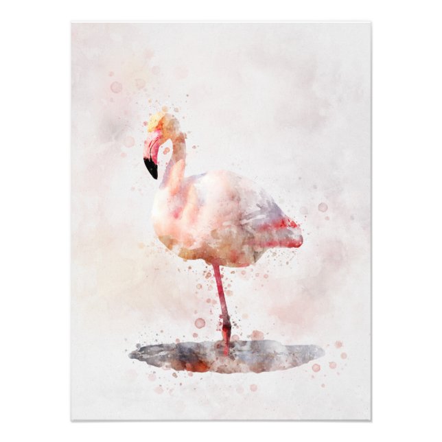 Impression Photo Flamant rose rose - Aquarelle - 01 (Devant)