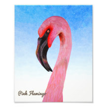 Flamant rose rose Oiseau Gouache Aquarelle Peintur