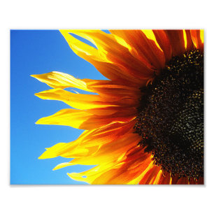 Impression Photo Flamme de tournesol 10x8
