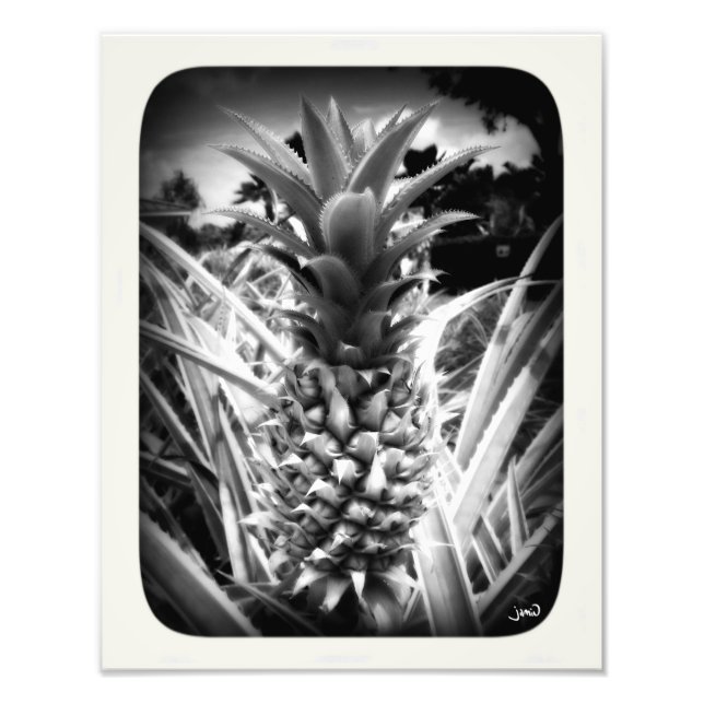 Impression Photo Flash D'Inspiration (Devant)