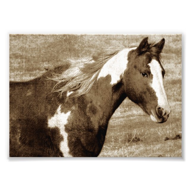 Impression Photo Flashy Tobinano Mare Sepia (Devant)