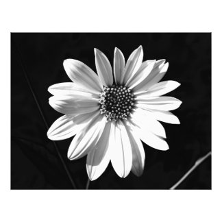 Impression Photo fleur