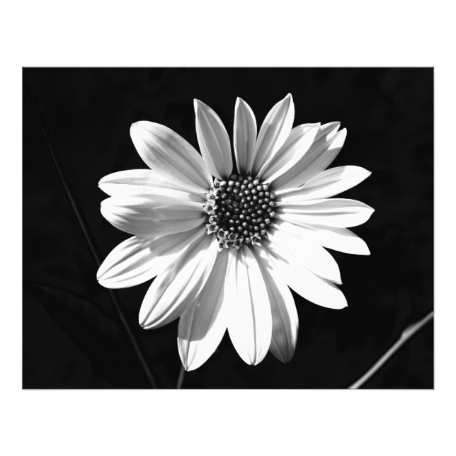 Impression Photo fleur (Devant)