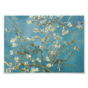 Impression Photo Fleur d'amandes de Vincent van Gogh (1890)
