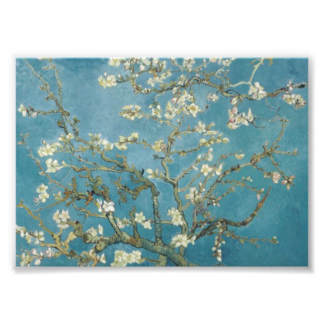 Impression Photo Fleur d'amandes de Vincent van Gogh (1890) (Devant)
