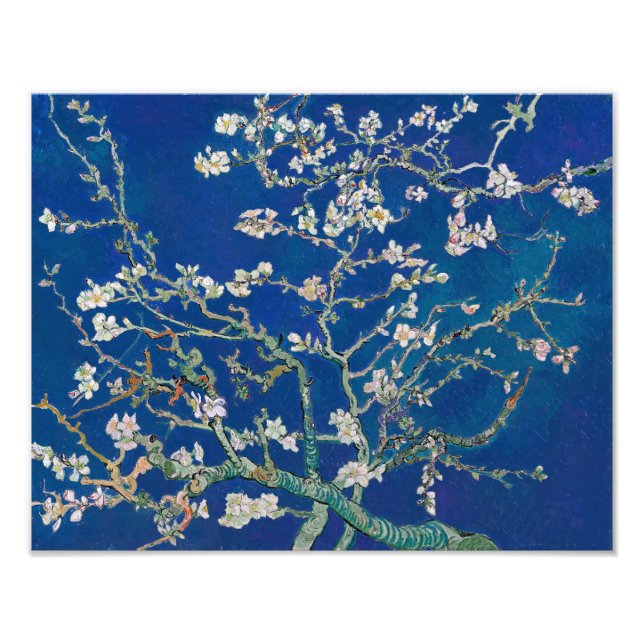Impression Photo Fleur d'amandes (Indigo) | Van Gogh | (Devant)