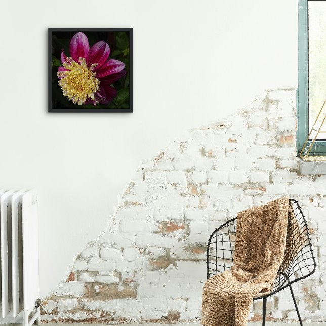 Impression Photo Fleur d'anémone rose Dahlia (In Situ Framed)