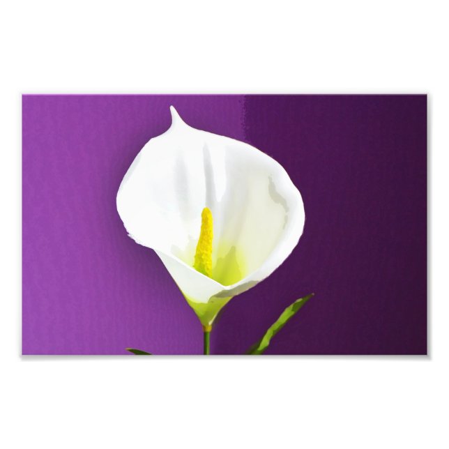 Impression Photo Fleur de Cala Lily (Devant)