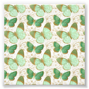 Impression Photo Fleur de fleurs florales blanches du papillon vert
