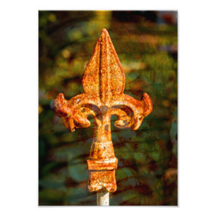 Impression Photo Fleur De Lis en rouille