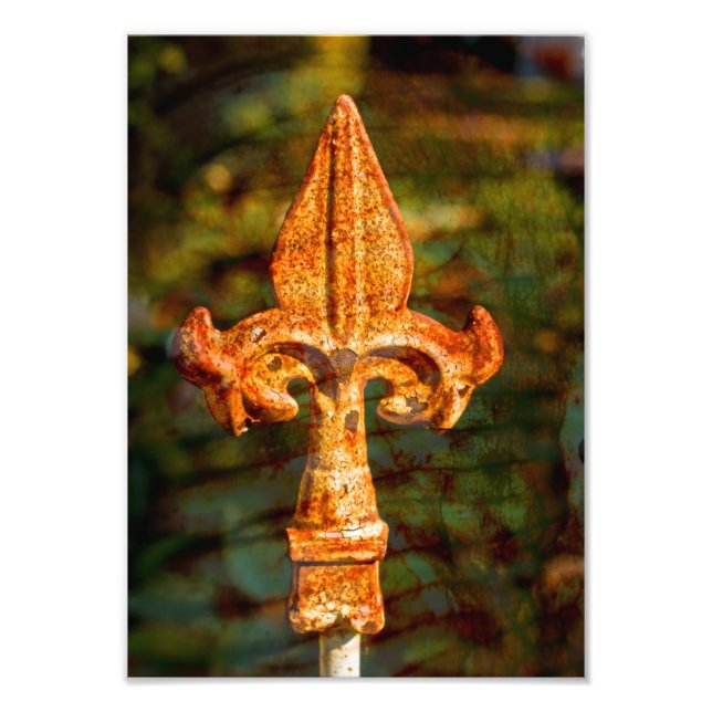 Impression Photo Fleur De Lis en rouille (Devant)