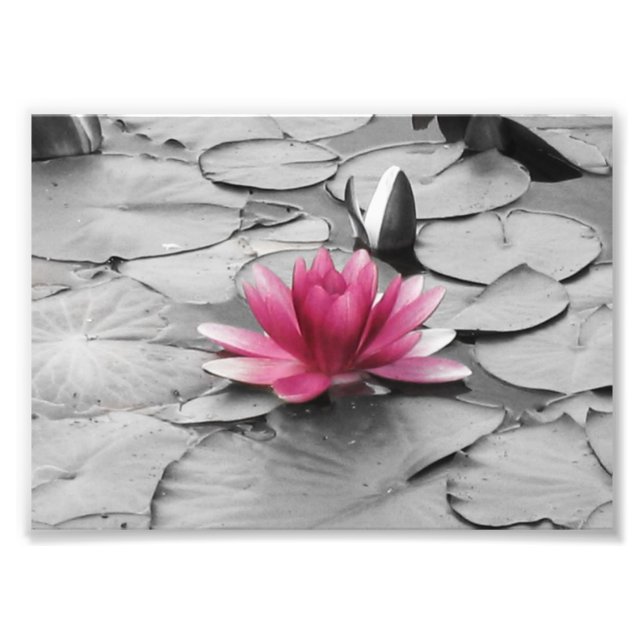 Impression Photo Fleur de pavé rose (Devant)