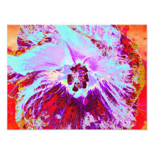 Impression Photo Fleur de Tilleul Tropical Abstrait Aqua et Hibiscu