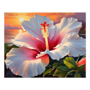 Impression Photo Fleur d'Hibiscus au coucher du soleil