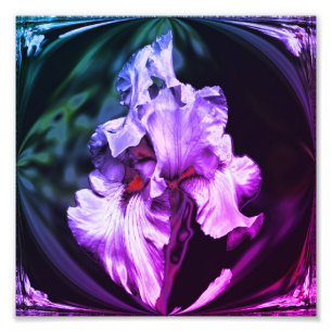 Impression Photo Fleur Iris Abstraite à boucle Art 8x8