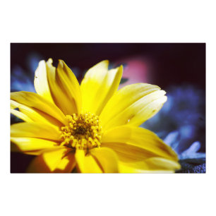Impression Photo Fleur jaune