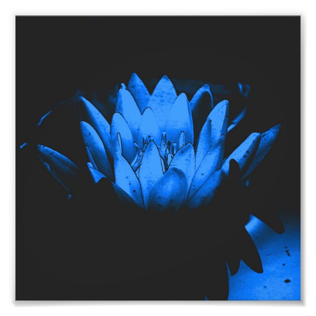 Impression Photo Fleur Lily Lotus d'eau bleue brillante Abstraite 8 (Devant)