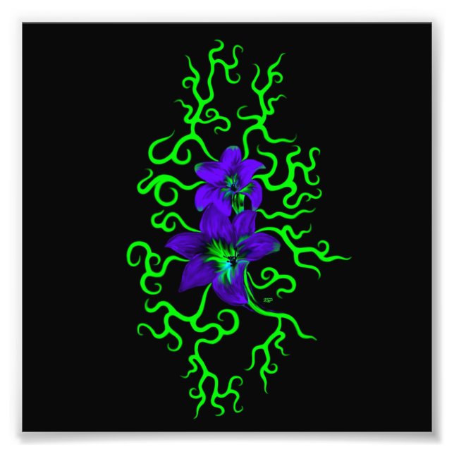 Impression Photo Fleur Lily violette sur noir (Devant)