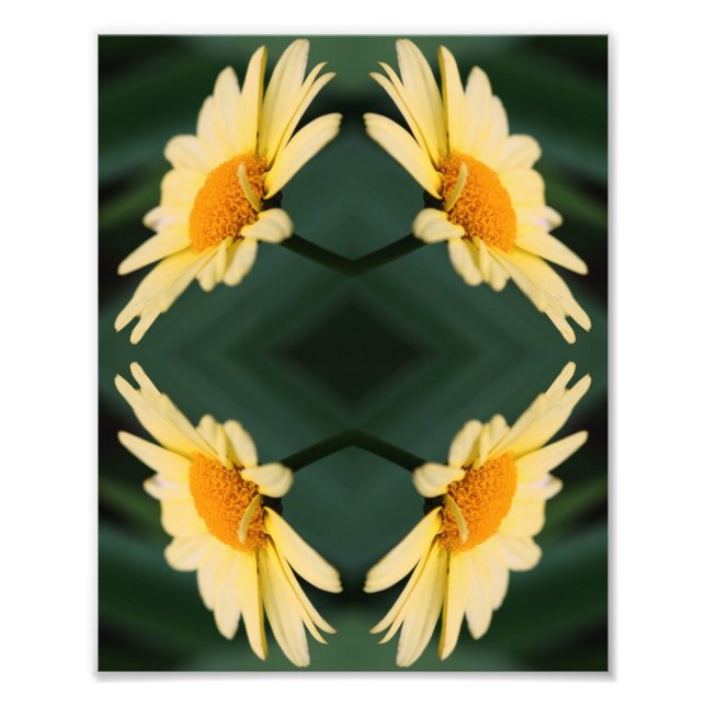 Impression Photo Fleur marguerite jaune Fermer miroir Abstrait 8x10 (Devant)