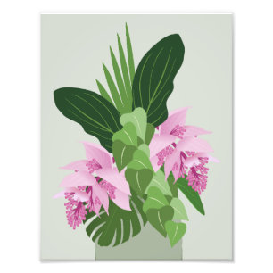 Impression Photo Fleur rose de Medinilla tropicale sur vert