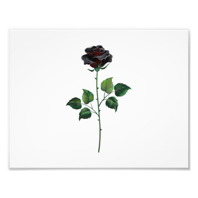 Impression Photo Fleur rose noire (Devant)