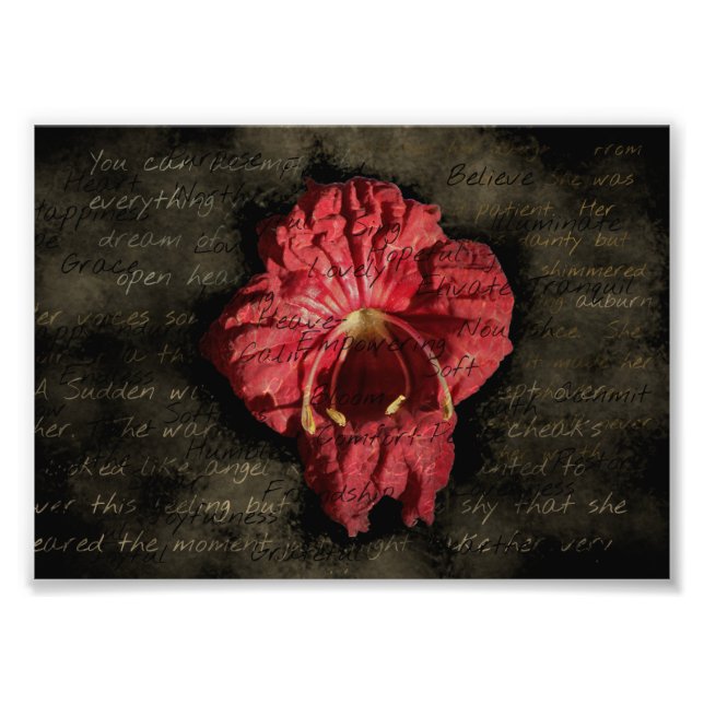 Impression Photo Fleur rouge sur texte grunge (Devant)