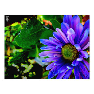 Impression Photo Fleur violette brillante