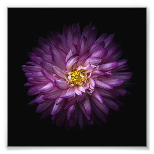 Impression Photo Fleurs 20 (Devant)