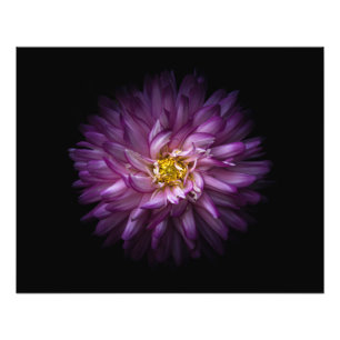 Impression Photo Fleurs 20
