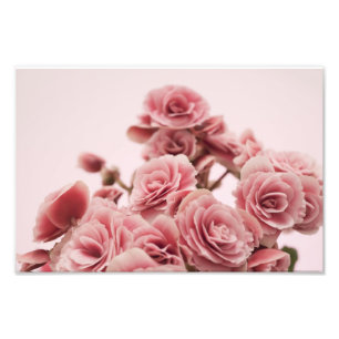 Impression Photo Fleurs assez roses