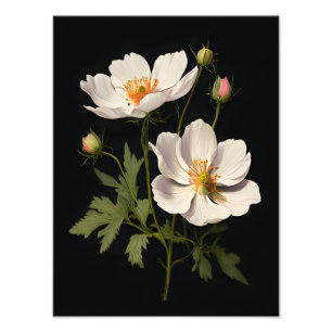 Impression Photo Fleurs blanches élégantes