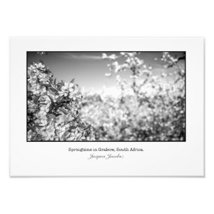 Impression Photo Fleurs d'Apple