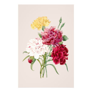 Impression Photo Fleurs de carnation vintages Imprimer