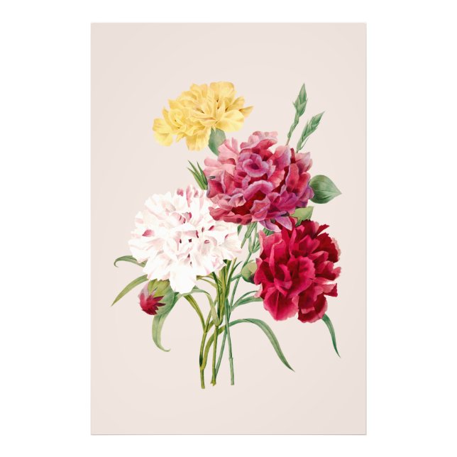 Impression Photo Fleurs de carnation vintages Imprimer (Devant)