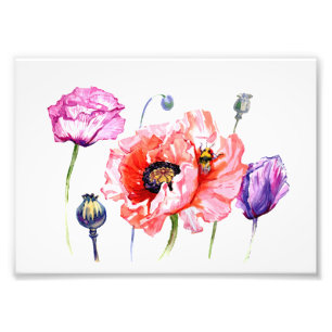 Impression Photo Fleurs de champ de pavot de pavots, art floral