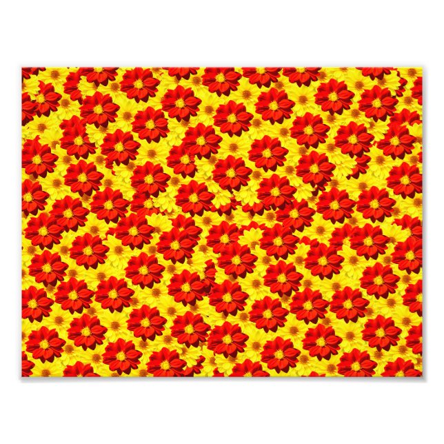 Impression Photo Fleurs de dahlia rouges et jaunes (Devant)