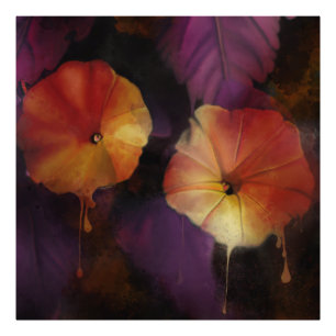 Impression Photo Fleurs de gloire du matin