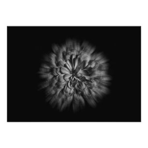 Impression Photo Fleurs De jardin En Noir Et Blanc 48 Flux